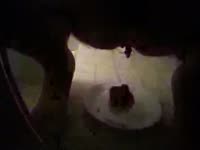 Poop  XXX DVD - Shitting chunks on a plate at night